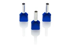 DUAL ENTRY BLUE FERR