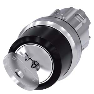 2P KEY SWITCH