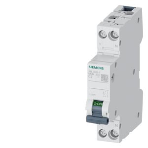 MCB 2A 6KA TYPE C