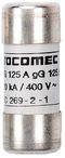 SOCOMEC DIN FUSE 100