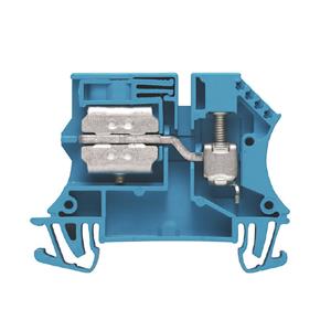 WNT6 BLUE ISOL
