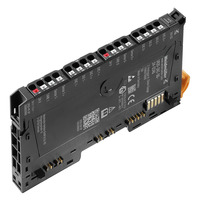 UR20-2AI-SG-24-DIAG